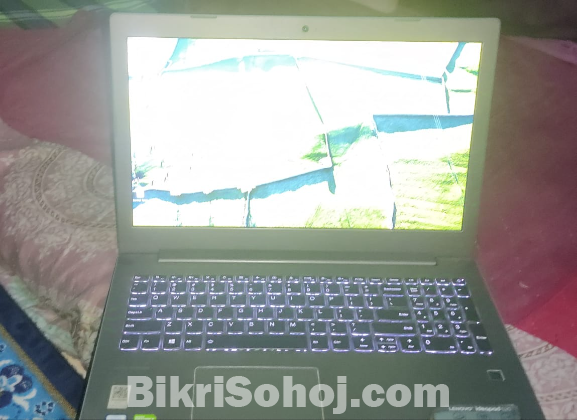Lenovo idea pad 520